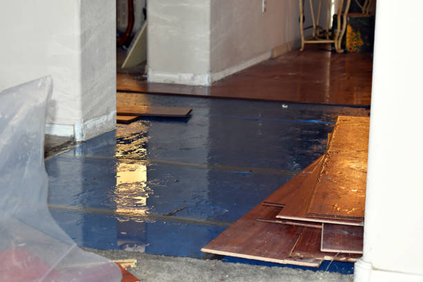 Professional Sewage Cleanup technician working in Laurel, NY